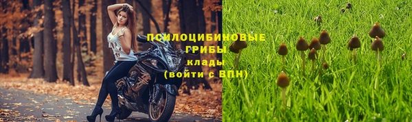 трава Абаза