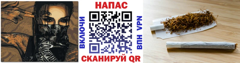 ОМГ ОМГ сайт  Киренск  Шишки марихуана сатива 